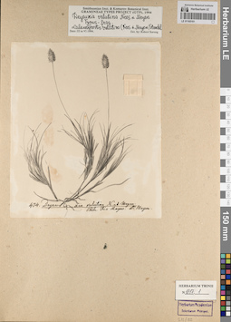 LE 01165161