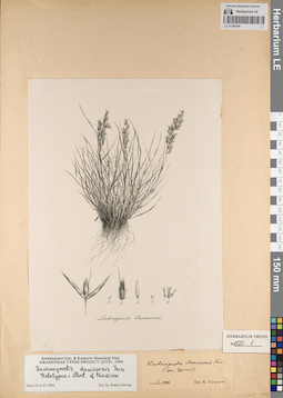 LE 01165184