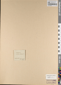 LE 01165190