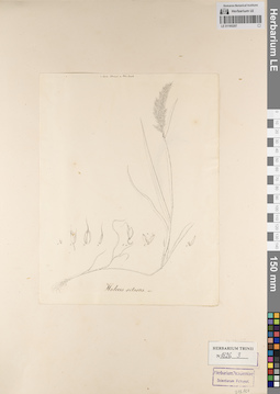 LE 01165207