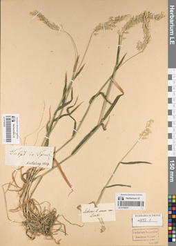 LE 01165237