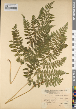 LE 01204475