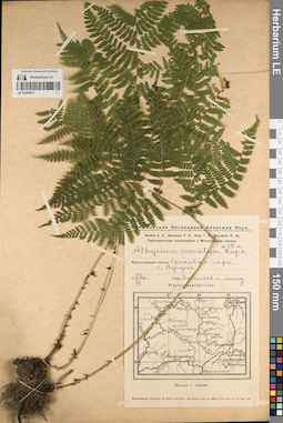 LE 01204477
