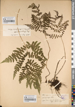 LE 01204480