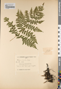 LE 01204484