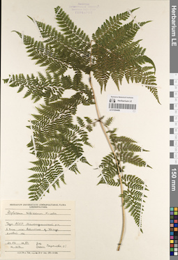 LE 01204496