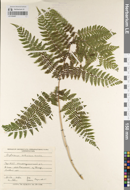 LE 01204497