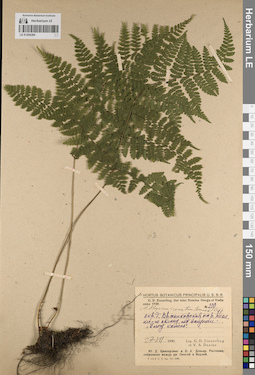 LE 01204394