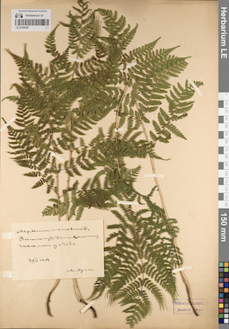 LE 01204397
