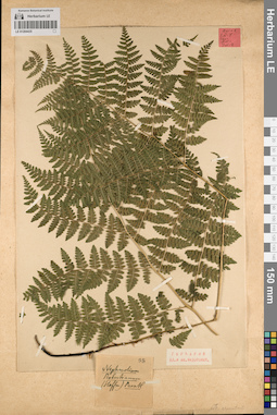 LE 01204435