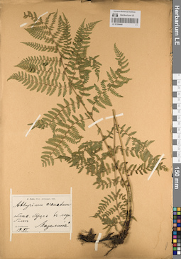 LE 01204440