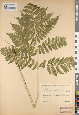 LE 01204442