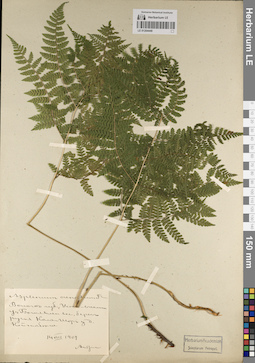 LE 01204449