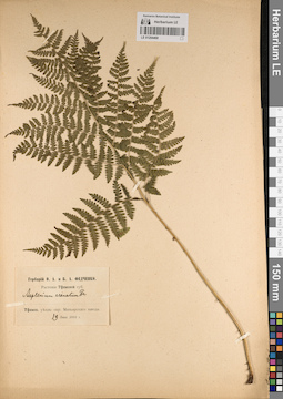 LE 01204468