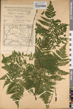 LE 01204473