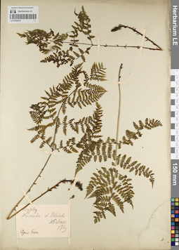LE 01204516