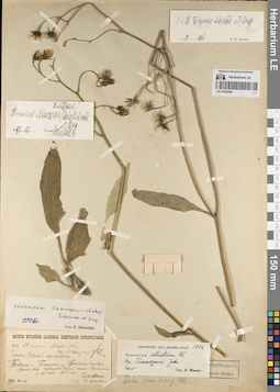 LE 01082988
