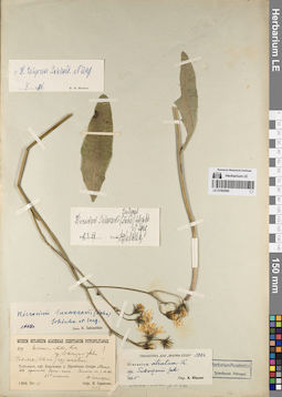 LE 01082989