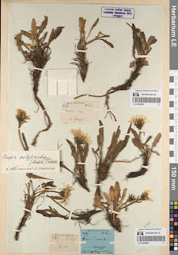 LE 01082996