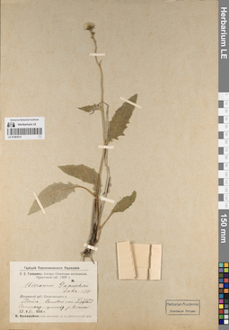 LE 01083015