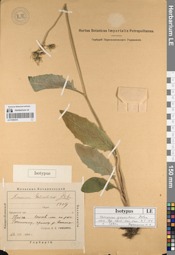 LE 01083016