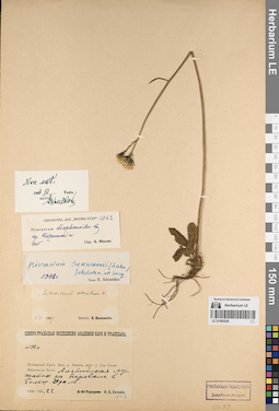 LE 01083028
