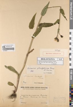 LE 01083041