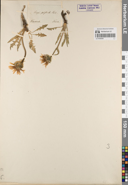 LE 01083050