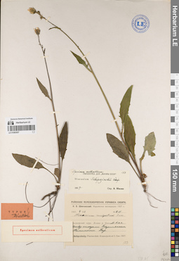 LE 01083057