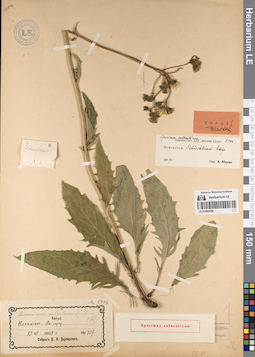 LE 01083058