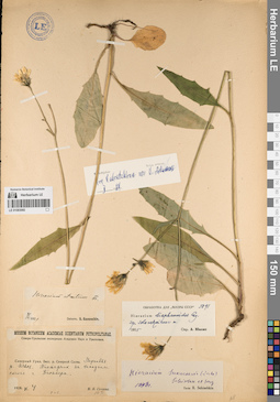 LE 01083060
