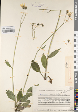 LE 01083071
