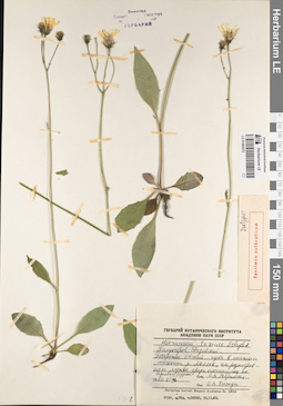 LE 01083072