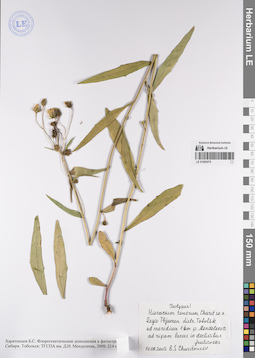 LE 01083075