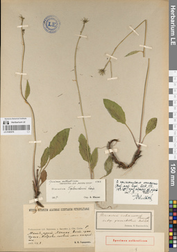 LE 01083076