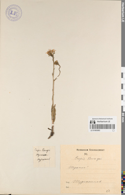 LE 01083083