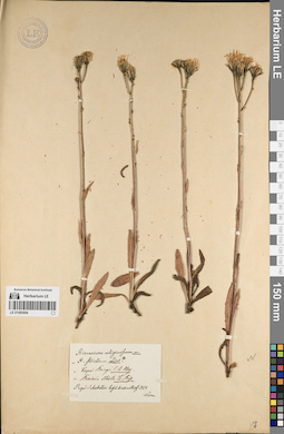 LE 01083094