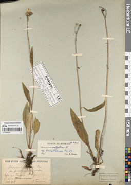 LE 01083097
