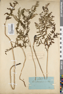LE 01204574