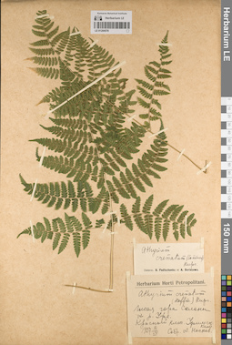 LE 01204578