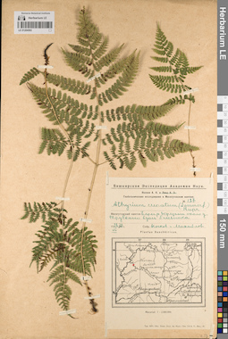LE 01204593
