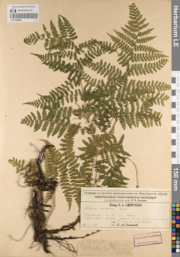 LE 01204606