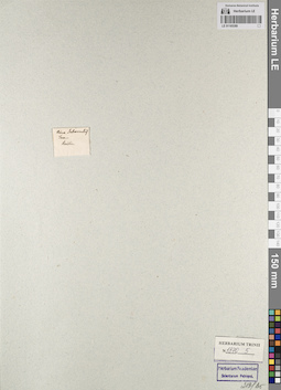 LE 01165389