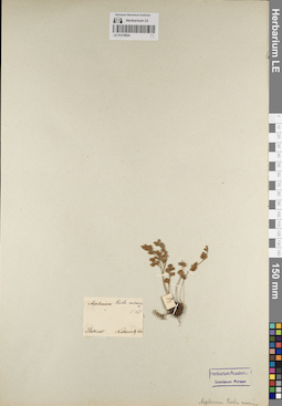 LE 01218024