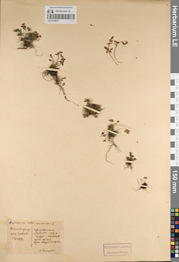 LE 01218019