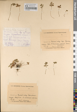 LE 01204623