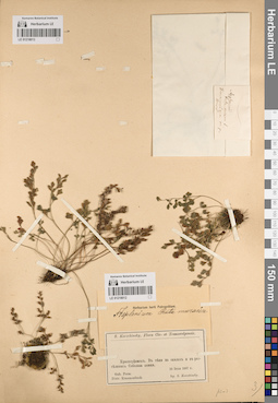 LE 01218013