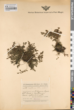 LE 01218017