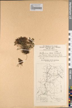 LE 01218020