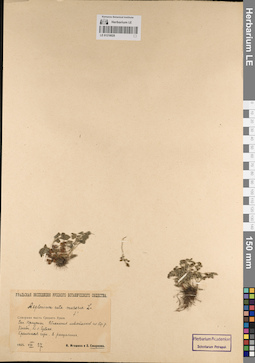 LE 01218028
